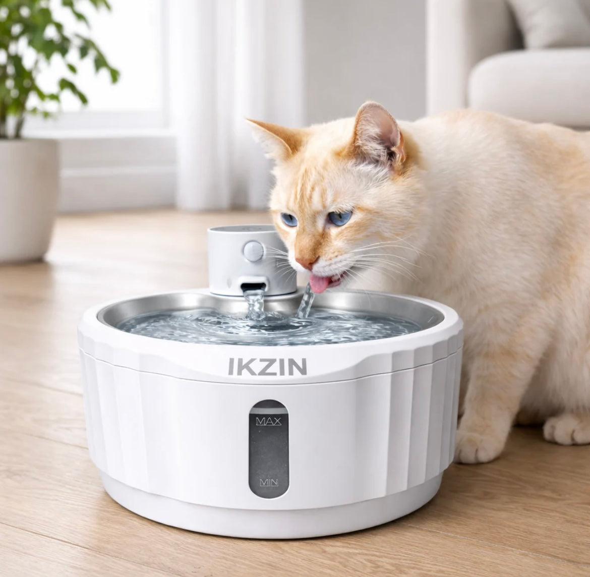 Fontaine à eau pour chat : est-ce vraiment utile ?