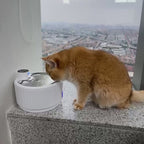 Fontaine à eau automatique pour chat – 2,8 L